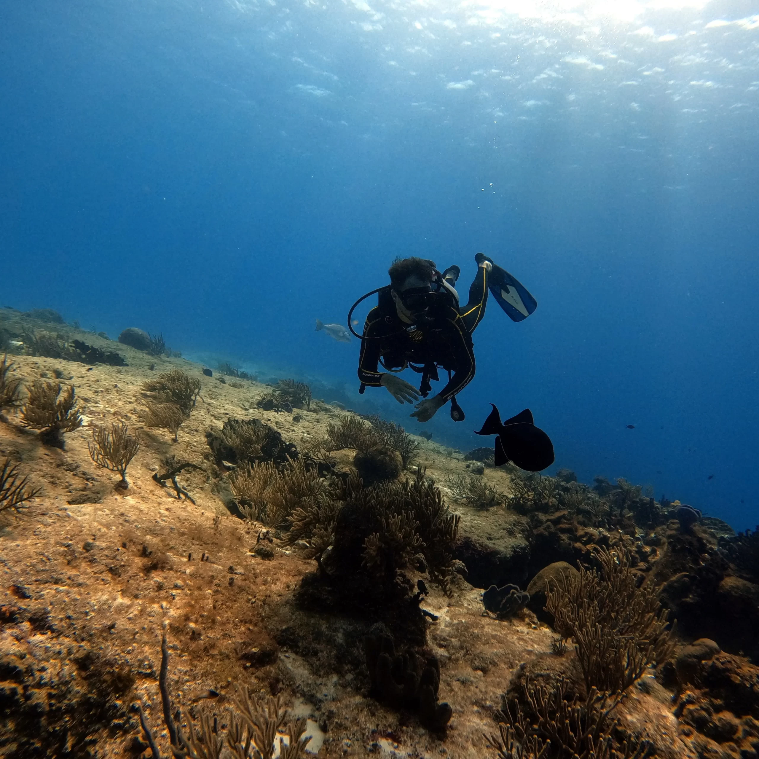 Cozumel